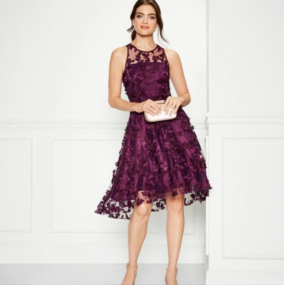 Alex Marie Madison 3D Floral Embroidered Mesh Sleeveless A-line Dress